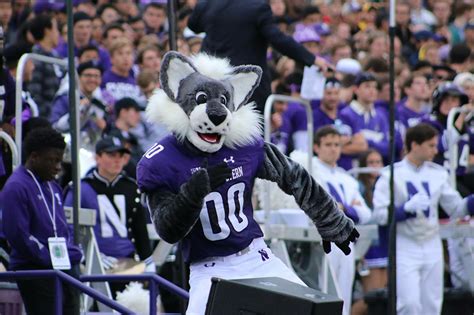 The Northwestern Wildcats Mascot: Spreading School Pride Throughout Campus